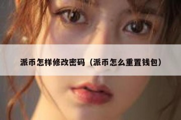 派币怎样修改密码（派币怎么重置钱包）