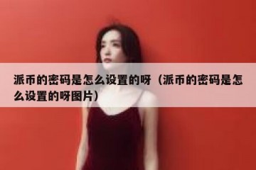 派币的密码是怎么设置的呀（派币的密码是怎么设置的呀图片）