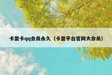 卡盟卡qq会员永久（卡盟平台官网大会员）