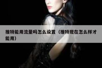 推特能用流量吗怎么设置（推特现在怎么样才能用）