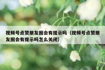 视频号点赞朋友圈会有提示吗（视频号点赞朋友圈会有提示吗怎么关闭）
