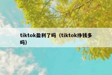tiktok盈利了吗（tiktok挣钱多吗）