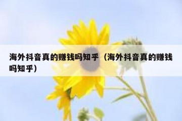 海外抖音真的赚钱吗知乎（海外抖音真的赚钱吗知乎）