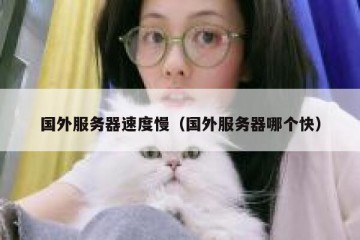 国外服务器速度慢（国外服务器哪个快）