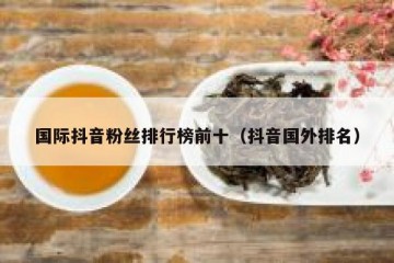 国际抖音粉丝排行榜前十（抖音国外排名）