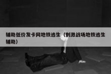 辅助低价发卡网地铁逃生（刺激战场地铁逃生辅助）