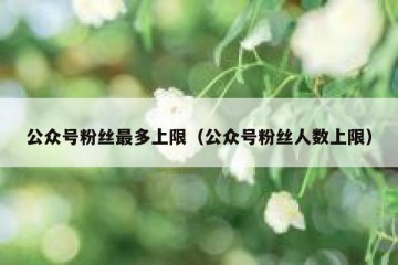 公众号粉丝最多上限（公众号粉丝人数上限）