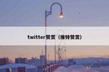 twitter赞赏（推特赞赏）