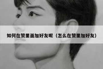 如何在赞里面加好友呢（怎么在赞里加好友）