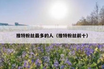 推特粉丝最多的人（推特粉丝前十）