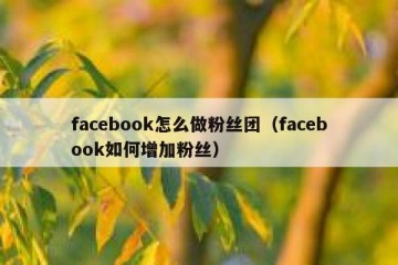 facebook怎么做粉丝团（facebook如何增加粉丝）