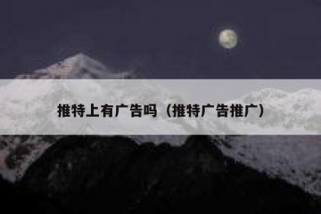 推特上有广告吗（推特广告推广）