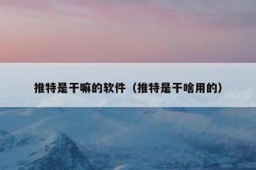 推特是干嘛的软件（推特是干啥用的）