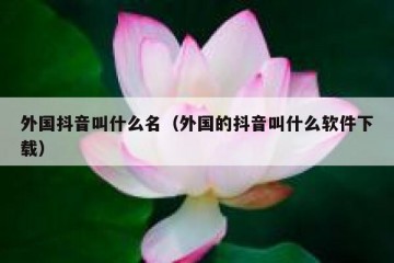 外国抖音叫什么名（外国的抖音叫什么软件下载）