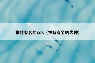 推特有名的cos（推特有名的大神）