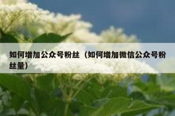 如何增加公众号粉丝（如何增加微信公众号粉丝量）