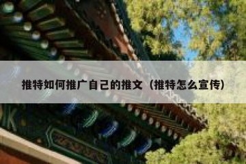 推特如何推广自己的推文（推特怎么宣传）