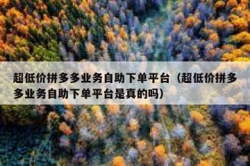 超低价拼多多业务自助下单平台（超低价拼多多业务自助下单平台是真的吗）