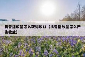 抖音播放量怎么获得收益（抖音播放量怎么产生收益）