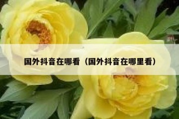 国外抖音在哪看（国外抖音在哪里看）