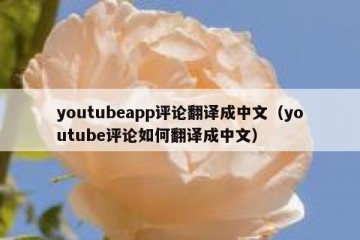 youtubeapp评论翻译成中文（youtube评论如何翻译成中文）