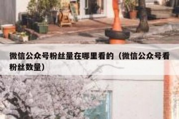 微信公众号粉丝量在哪里看的（微信公众号看粉丝数量）