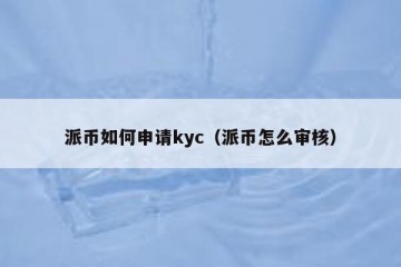 派币如何申请kyc（派币怎么审核）