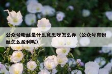 公众号粉丝是什么意思呀怎么弄（公众号有粉丝怎么盈利呢）