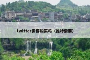 twitter需要购买吗（推特需要）