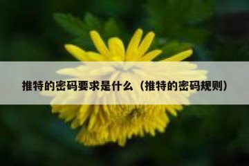 推特的密码要求是什么（推特的密码规则）