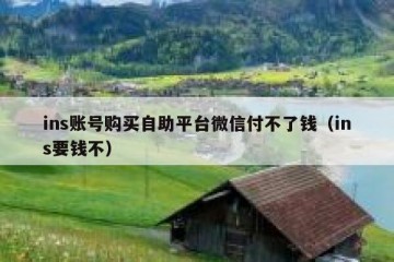 ins账号购买自助平台微信付不了钱（ins要钱不）