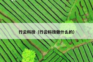 行云科技（行云科技做什么的）