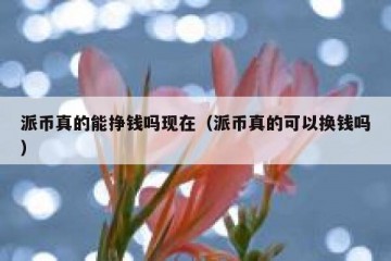 派币真的能挣钱吗现在（派币真的可以换钱吗）