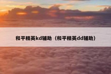 和平精英kd辅助（和平精英dd辅助）