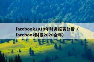 facebook2018年财务报表分析（facebook财报2020全年）