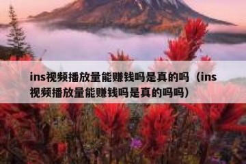 ins视频播放量能赚钱吗是真的吗（ins视频播放量能赚钱吗是真的吗吗）