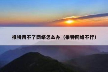 推特用不了网络怎么办（推特网络不行）