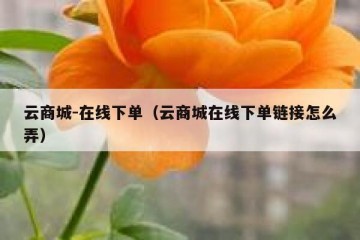 云商城-在线下单（云商城在线下单链接怎么弄）