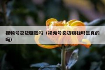 视频号卖货赚钱吗（视频号卖货赚钱吗是真的吗）