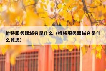 推特服务器域名是什么（推特服务器域名是什么意思）
