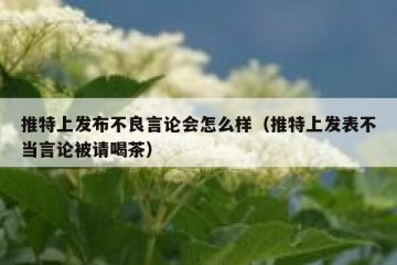 推特上发布不良言论会怎么样（推特上发表不当言论被请喝茶）