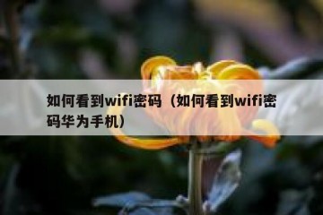 如何看到wifi密码（如何看到wifi密码华为手机）
