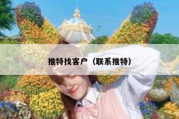 推特找客户（联系推特）