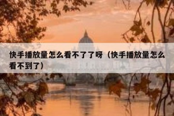 快手播放量怎么看不了了呀（快手播放量怎么看不到了）