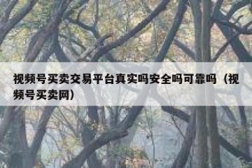 视频号买卖交易平台真实吗安全吗可靠吗（视频号买卖网）