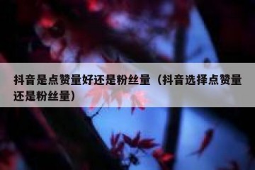 抖音是点赞量好还是粉丝量（抖音选择点赞量还是粉丝量）