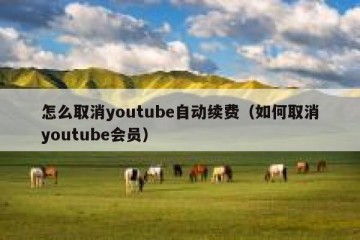 怎么取消youtube自动续费（如何取消youtube会员）