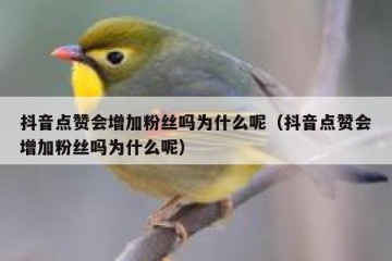 抖音点赞会增加粉丝吗为什么呢（抖音点赞会增加粉丝吗为什么呢）