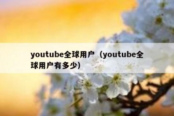 youtube全球用户（youtube全球用户有多少）