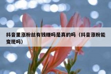 抖音里涨粉丝有钱赚吗是真的吗（抖音涨粉能变现吗）